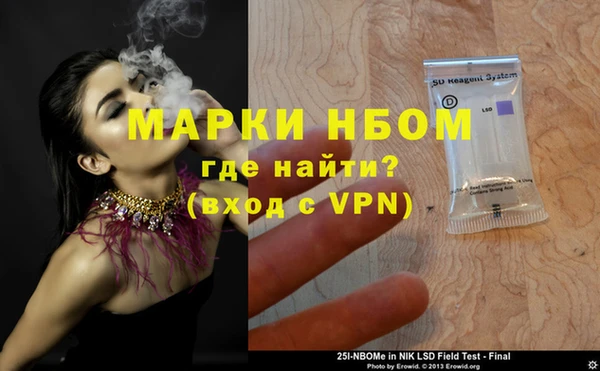 прущие грибы Вяземский