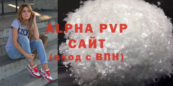 прущие грибы Вяземский
