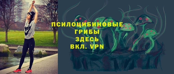 индика Горно-Алтайск
