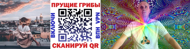 Галлюциногенные грибы Psilocybine cubensis  Еманжелинск 